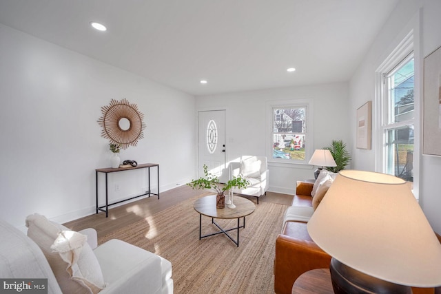 living room featuring hardwood / wood-style floors