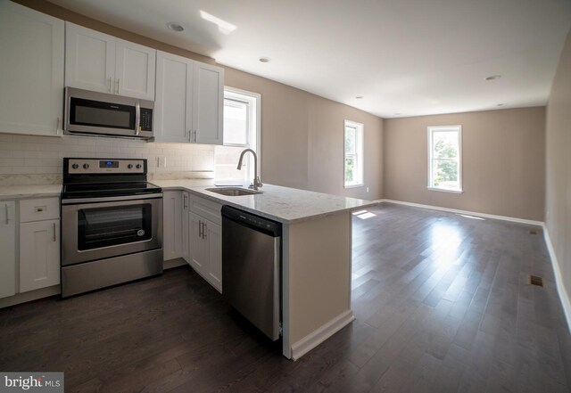 kitchen with white cabinets, stainless steel appliances, dark hardwood / wood-style floors, and sink