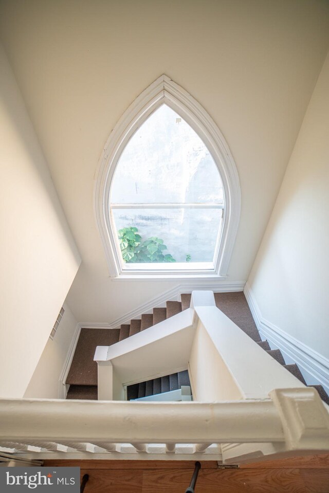 staircase with a wealth of natural light