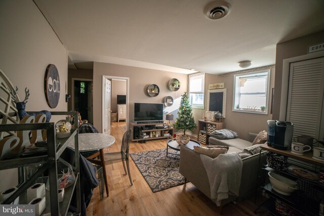 living room with hardwood / wood-style flooring