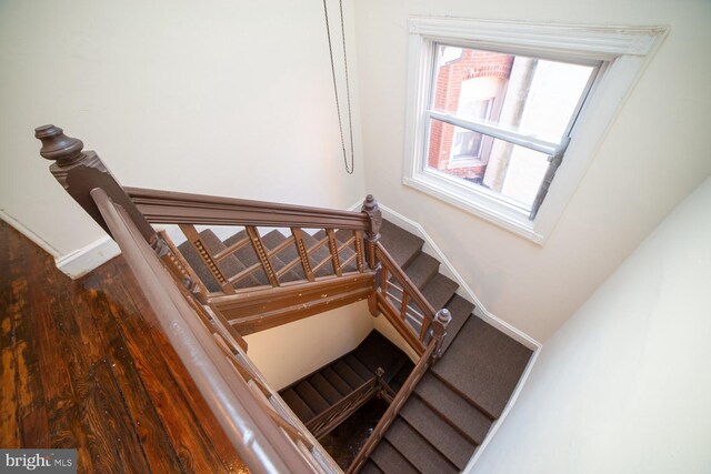 stairway featuring hardwood / wood-style flooring