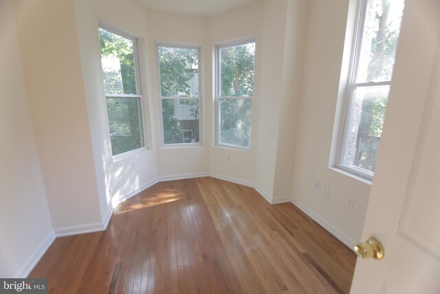 spare room featuring plenty of natural light and light hardwood / wood-style flooring