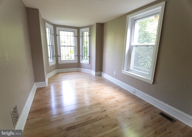 empty room featuring a healthy amount of sunlight and light wood-type flooring