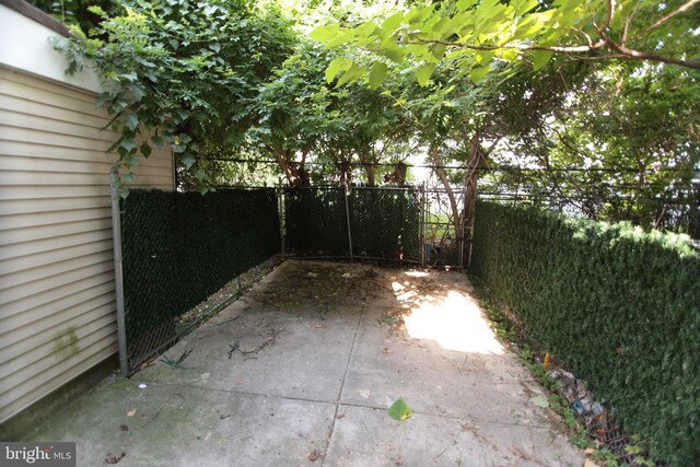 view of yard featuring a patio area