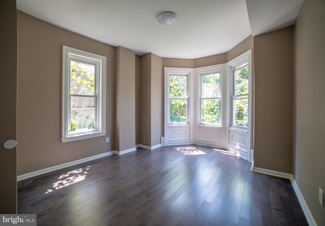 spare room with dark hardwood / wood-style flooring and a healthy amount of sunlight