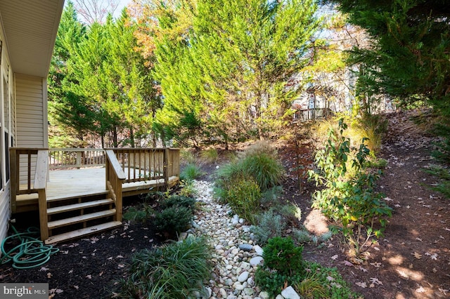 view of yard featuring a deck