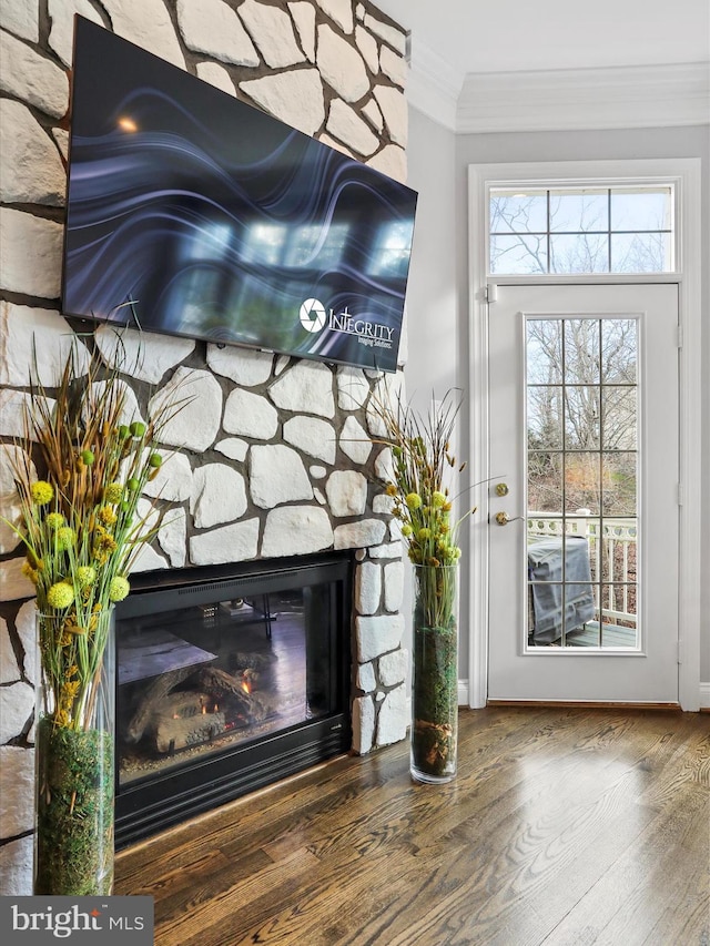 details featuring crown molding, a fireplace, and hardwood / wood-style floors