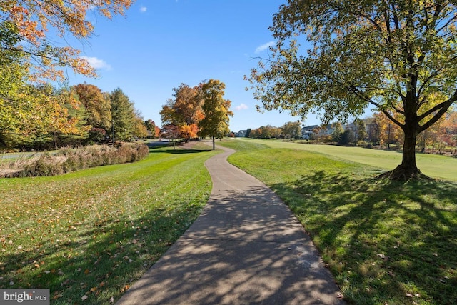 surrounding community featuring a lawn