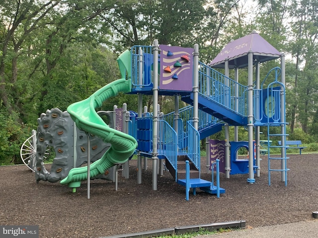 view of jungle gym