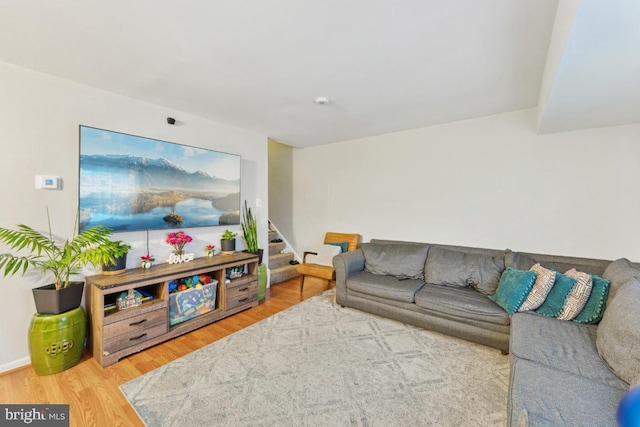 living room featuring wood-type flooring