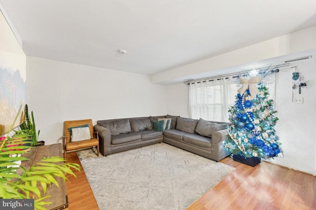 living room with wood-type flooring