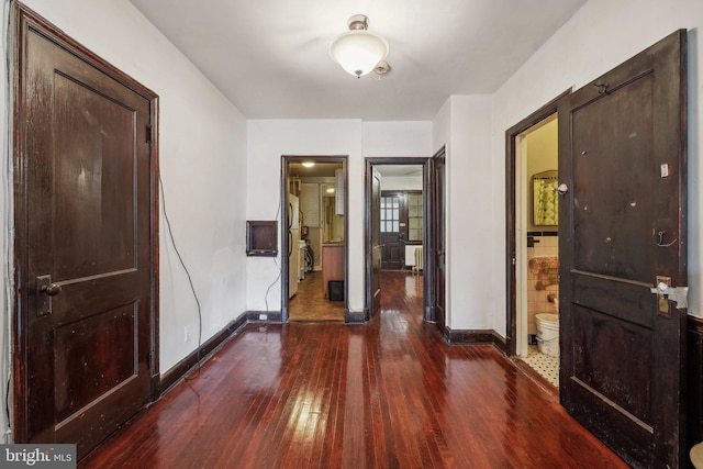 entrance foyer featuring dark hardwood / wood-style flooring and radiator heating unit