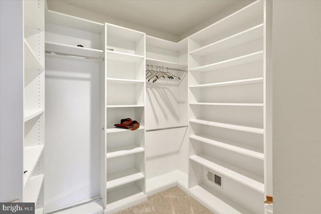 walk in closet with light carpet