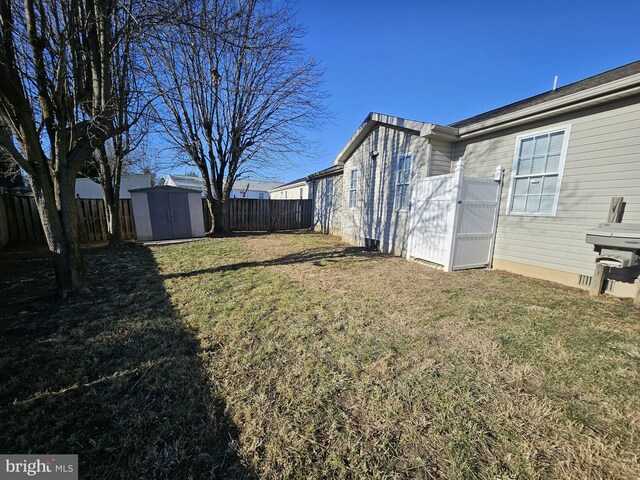 view of yard featuring a shed