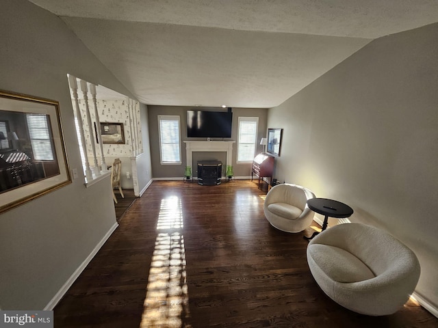 sitting room featuring a textured ceiling, dark hardwood / wood-style floors, and lofted ceiling