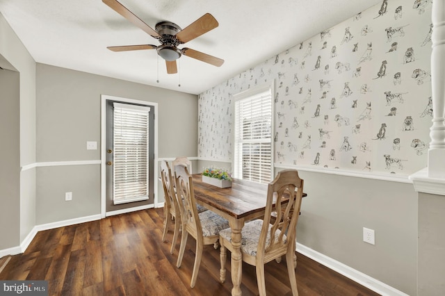 dining area with ceiling fan and dark hardwood / wood-style floors