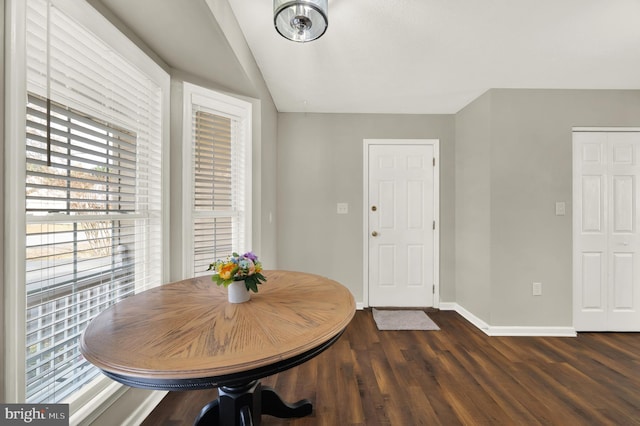 dining room with dark wood-type flooring