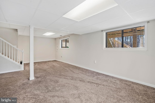 basement featuring carpet flooring and a paneled ceiling