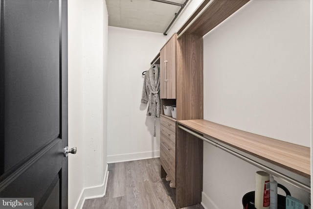 walk in closet with dark wood-type flooring