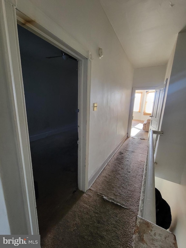 hallway featuring carpet floors and vaulted ceiling