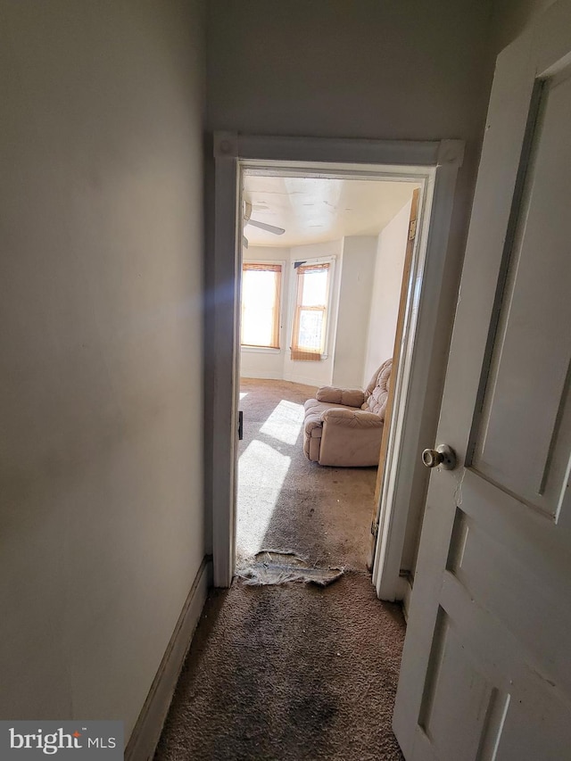 hall with carpet floors