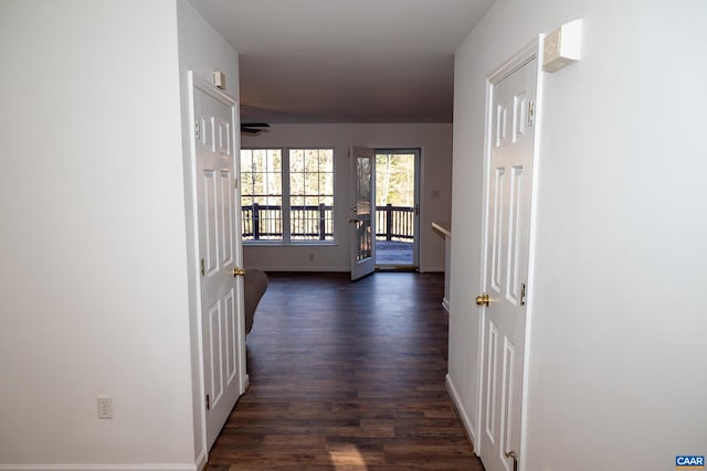 corridor with dark hardwood / wood-style floors