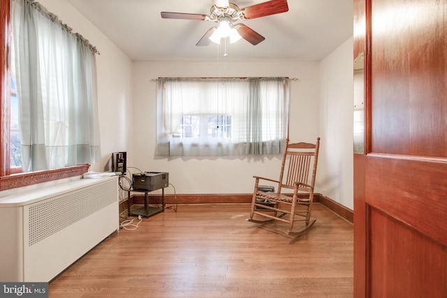 sitting room featuring light hardwood / wood-style flooring, radiator, and ceiling fan