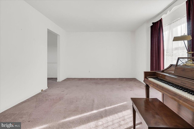 miscellaneous room featuring light colored carpet