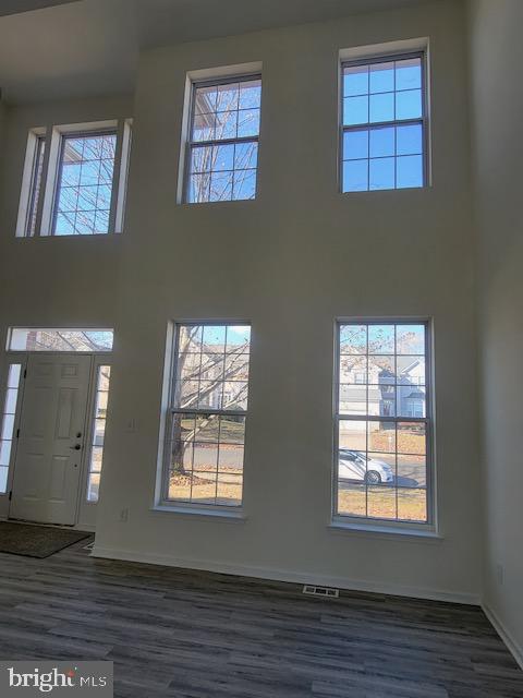 entrance foyer with a towering ceiling and dark hardwood / wood-style floors