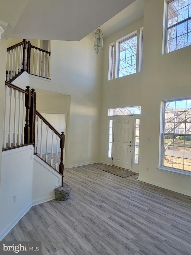 foyer entrance with hardwood / wood-style floors, a towering ceiling, and a wealth of natural light