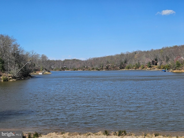 LOT24 Bay Pointe Dr, Montross, VA 22520 - water view featuring a heavily wooded area