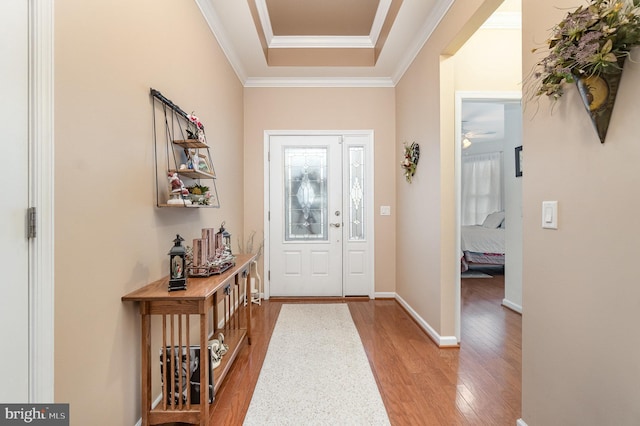 entryway featuring light wood-type flooring, a tray ceiling, and crown molding