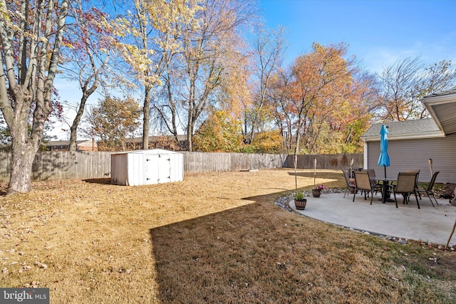 view of yard with a patio and a storage unit