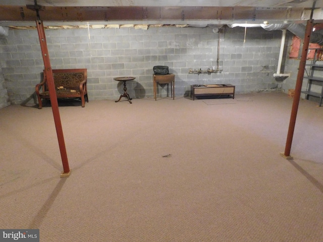 basement featuring carpet