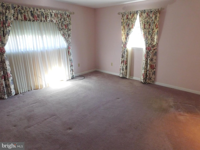 spare room featuring carpet flooring