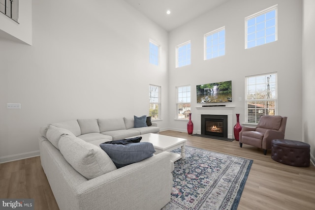 living room with light hardwood / wood-style floors and a high ceiling