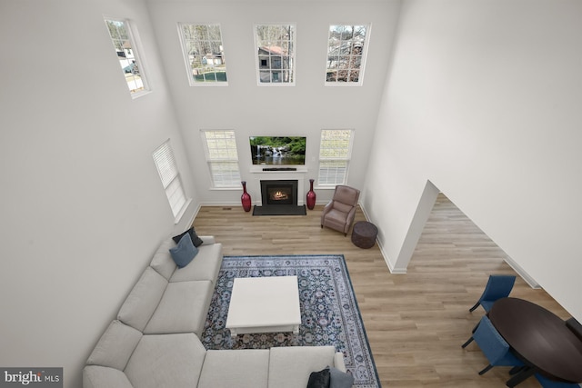 living room featuring a wealth of natural light, a high ceiling, and light wood-type flooring