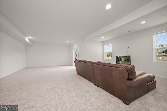 carpeted living room with plenty of natural light