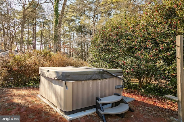 view of yard with a hot tub