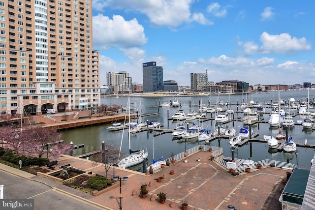 property view of water with a boat dock