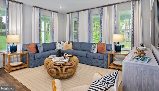 living room featuring hardwood / wood-style flooring