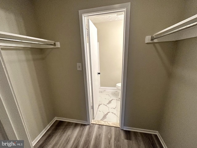 walk in closet with wood-type flooring