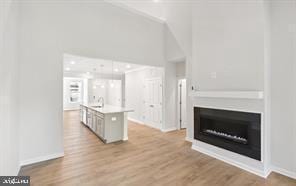 unfurnished living room featuring light wood-type flooring