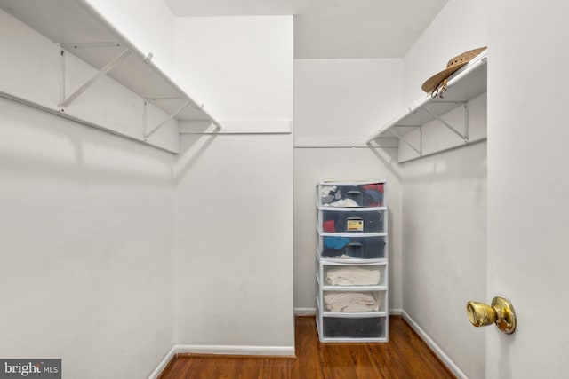 walk in closet with dark wood-type flooring