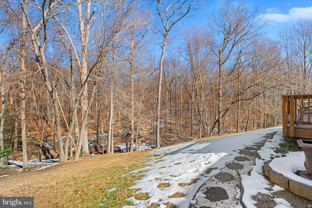 view of yard layered in snow