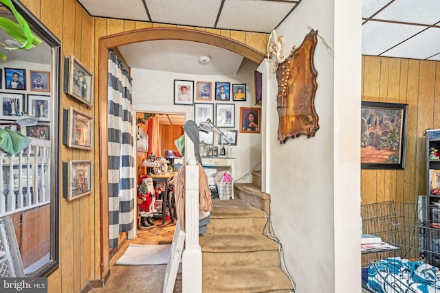 staircase featuring a paneled ceiling, wooden walls, and carpet