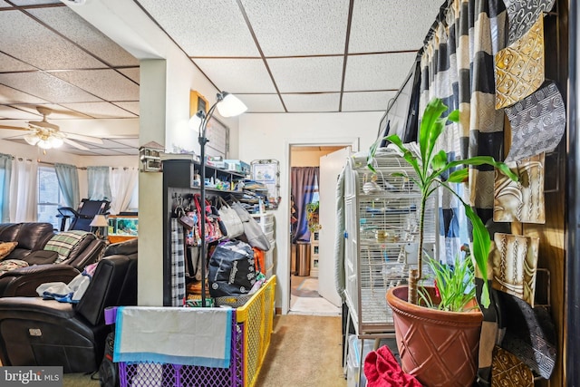 misc room with carpet floors, ceiling fan, and a paneled ceiling