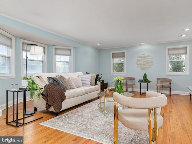 living room featuring plenty of natural light and light hardwood / wood-style flooring