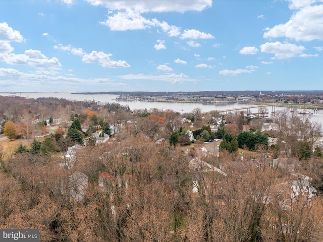 bird's eye view featuring a water view