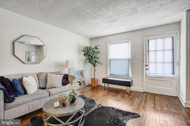 living room with a textured ceiling and wood-type flooring